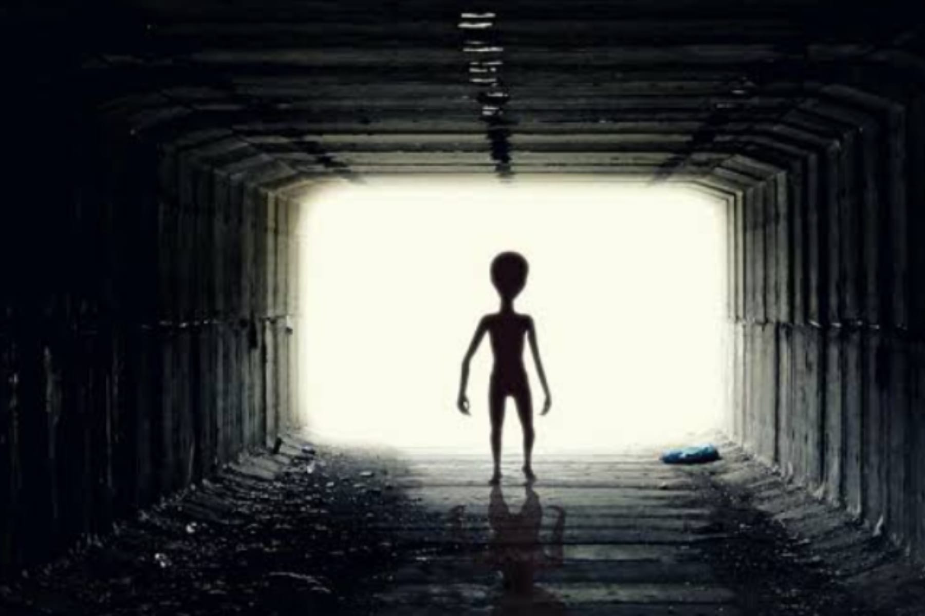 Sinyal dari Luar Angkasa: Apakah Kita Sendirian? Menelisik Keberadaan Alien