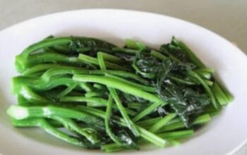 Cara Sukses Tanam Kangkung di Lahan Sempit 1 Sukses Tanam Kangkung di Lahan Sempit? Ini Rahasia Budidaya dalam Wadah!