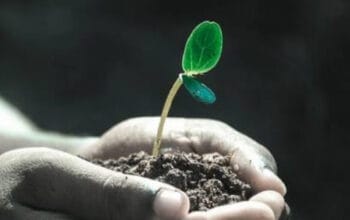 Blueprint Kehidupan Baru: 3 Langkah Efektif Menata Awal Tahun