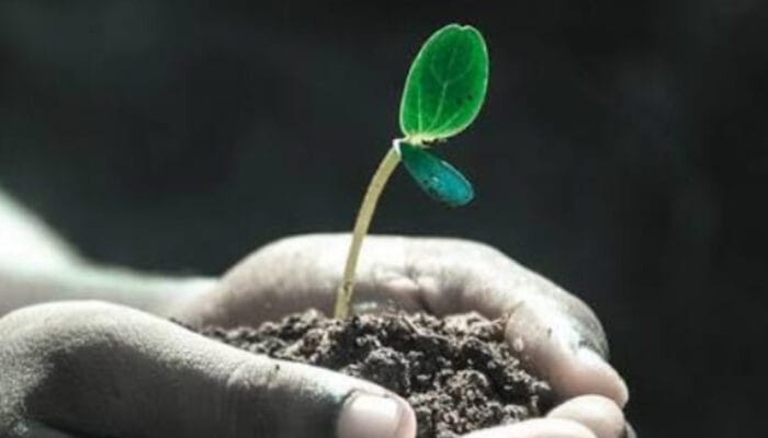 Blueprint Kehidupan Baru: 3 Langkah Efektif Menata Awal Tahun