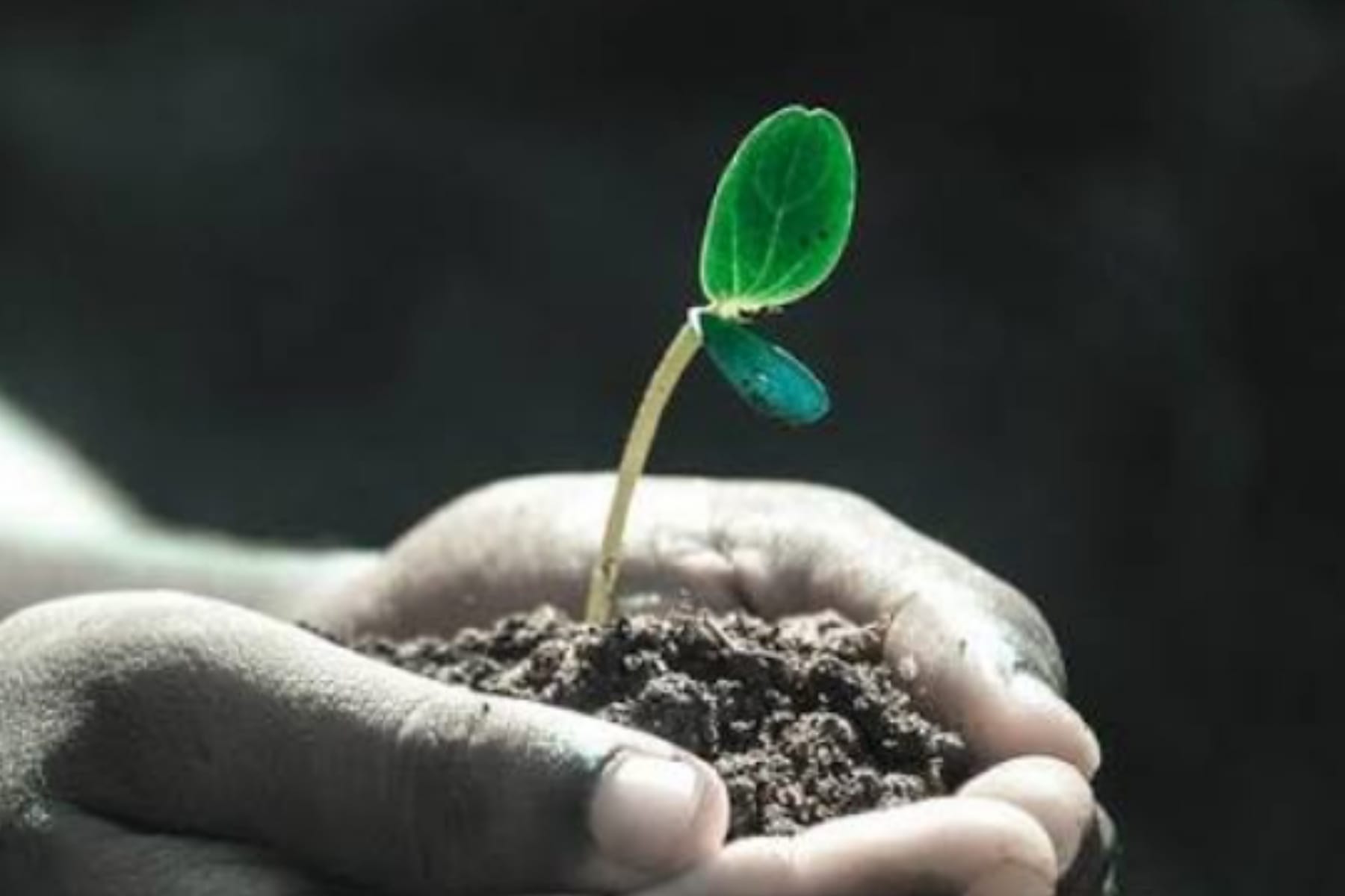 Blueprint Kehidupan Baru: 3 Langkah Efektif Menata Awal Tahun