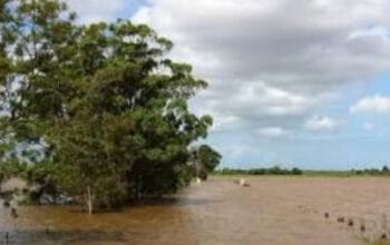 Cuaca Ekstrem Landa Israel: Banjir dan Kerusakan Infrastruktur