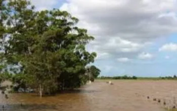 Cuaca Ekstrem Landa Israel: Banjir dan Kerusakan Infrastruktur