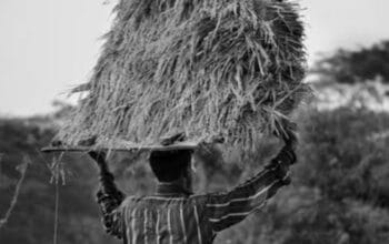 Etos Kerja Keras: Kunci Sukses Finansial atau Jebakan Produktivitas? 5 Etos Kerja Keras: Kunci Sukses Finansial atau Jebakan Produktivitas?