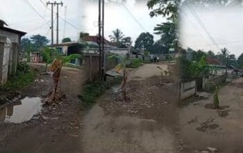 Ibaratkan ‘Kebun Pisang Subur’ Jalan Rusak Parah di Tanjungsari: Kritikan Pedas Warga Kabupaten Bogor 