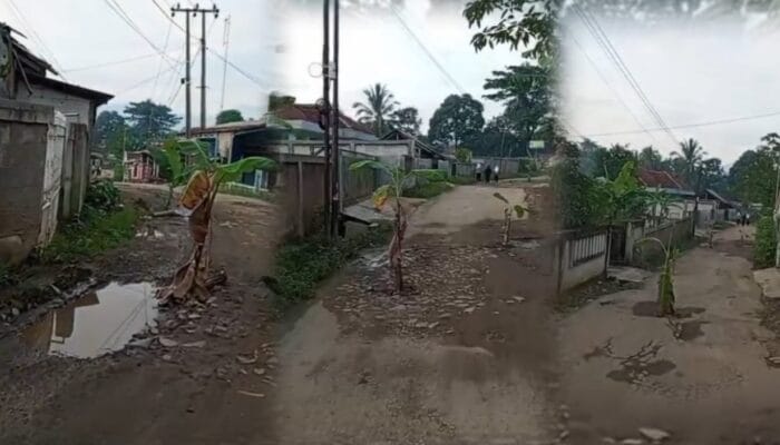 Ibaratkan ‘Kebun Pisang Subur’ Jalan Rusak Parah di Tanjungsari: Kritikan Pedas Warga Kabupaten Bogor 