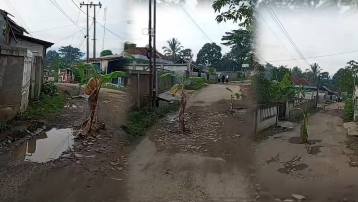 Ibaratkan 'Kebun Pisang Subur' Jalan Rusak Parah di Tanjungsari: Kritikan Pedas Warga Kabupaten Bogor 