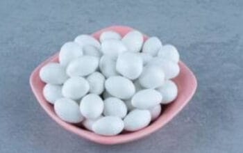 Indonesia sebagai 'Tanaman Surga' Al-Qur’an: Jejak Kapur Barus di Nusantara 1 Indonesia sebagai 'Tanaman Surga' Al-Qur’an: Jejak Kapur Barus di Nusantara