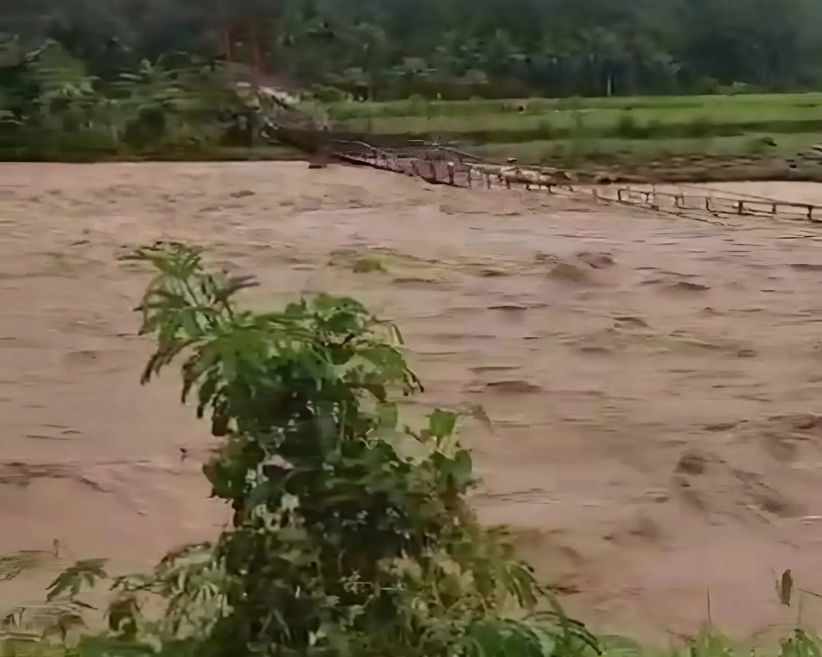 Jembatan Gantung 3 Desa di Cianjur Ambruk Diterjang Banjir Bandang