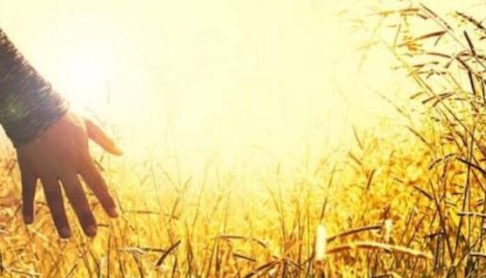 Ketenangan adalah Kunci: Membangun Sikap Tenang di Tengah Badai Kehidupan