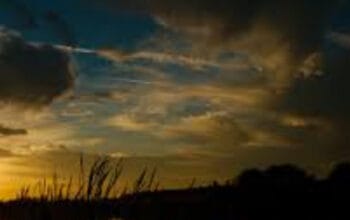 Menemukan Kekuatan dalam Diam: Mengapa Keheningan Penting di Era Modern