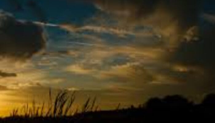 Menemukan Kekuatan dalam Diam: Mengapa Keheningan Penting di Era Modern