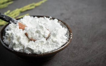 Mengenal Tepung Sagu: Alternatif Sehat Bebas Gluten 3 Mengenal Tepung Sagu: Alternatif Sehat Bebas Gluten