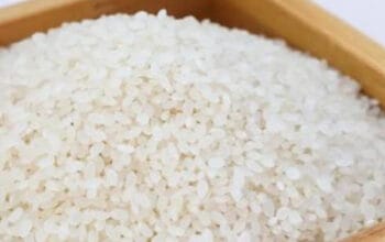 Mengungkap Fakta Gula dalam Sepiring Nasi: Benarkah Berbahaya?