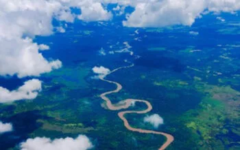 Misteri Hilangnya Michael Rockefeller di Papua: Tragedi Pewaris Tahta Minyak 11 Misteri Hilangnya Michael Rockefeller di Papua: Tragedi Pewaris Tahta Minyak