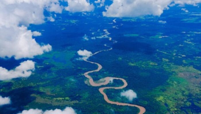 Misteri Hilangnya Michael Rockefeller di Papua: Tragedi Pewaris Tahta Minyak