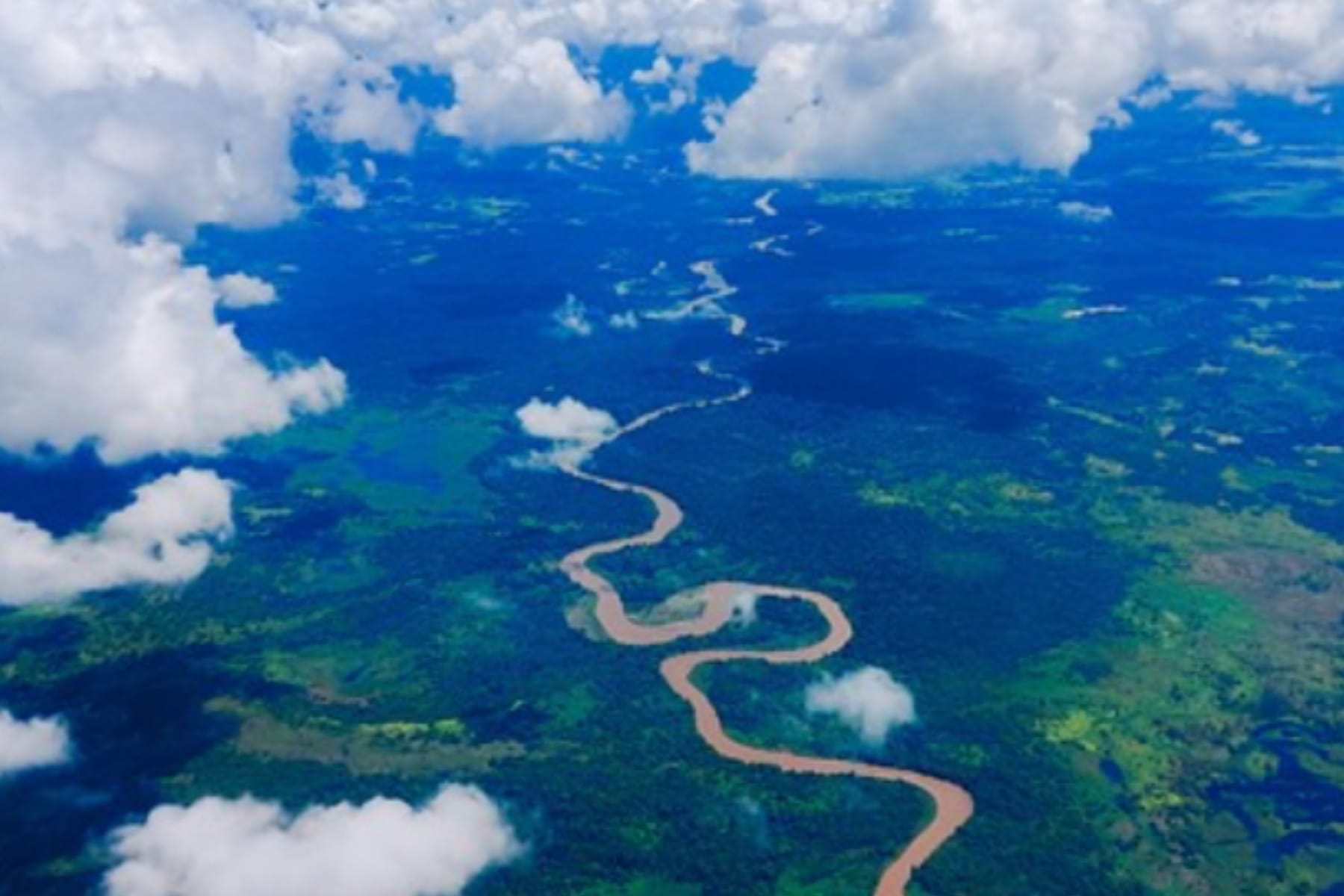 Misteri Hilangnya Michael Rockefeller di Papua: Tragedi Pewaris Tahta Minyak 1 Misteri Hilangnya Michael Rockefeller di Papua: Tragedi Pewaris Tahta Minyak