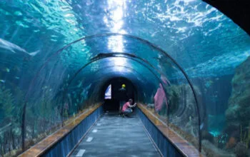 Norwegia Bor Tembus Laut: Rogfast Jadi Terowongan Bawah Laut Terdalam Dunia