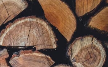 Produksi Kayu Indonesia 2024 Melonjak, Sumatra Kokoh sebagai Lumbung Nasional 3 Produksi Kayu Indonesia 2024 Melonjak, Sumatra Kokoh sebagai Lumbung Nasional