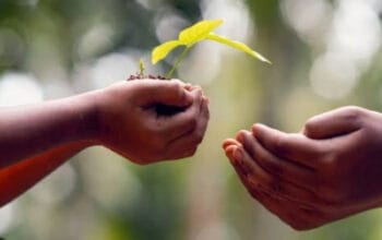 Rahasia Hidup Berkah: Menguak Keutamaan Sedekah yang Mengubah Nasib