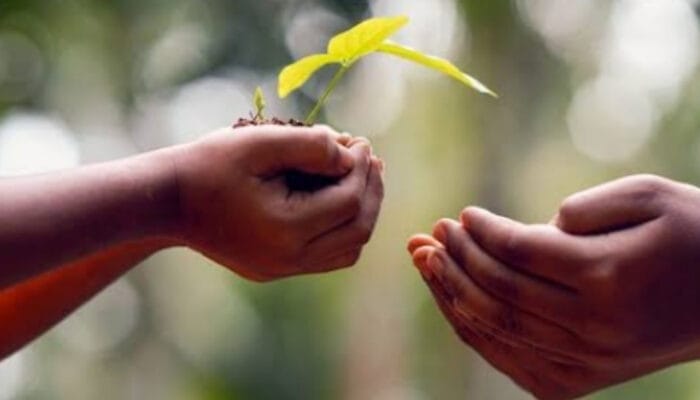 Rahasia Hidup Berkah: Menguak Keutamaan Sedekah yang Mengubah Nasib