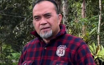 Sengketa Tanpa Pengadilan? Paralegal Punya Jawabannya! 4 Sengketa Tanpa Pengadilan Paralegal Punya Jawabannya!