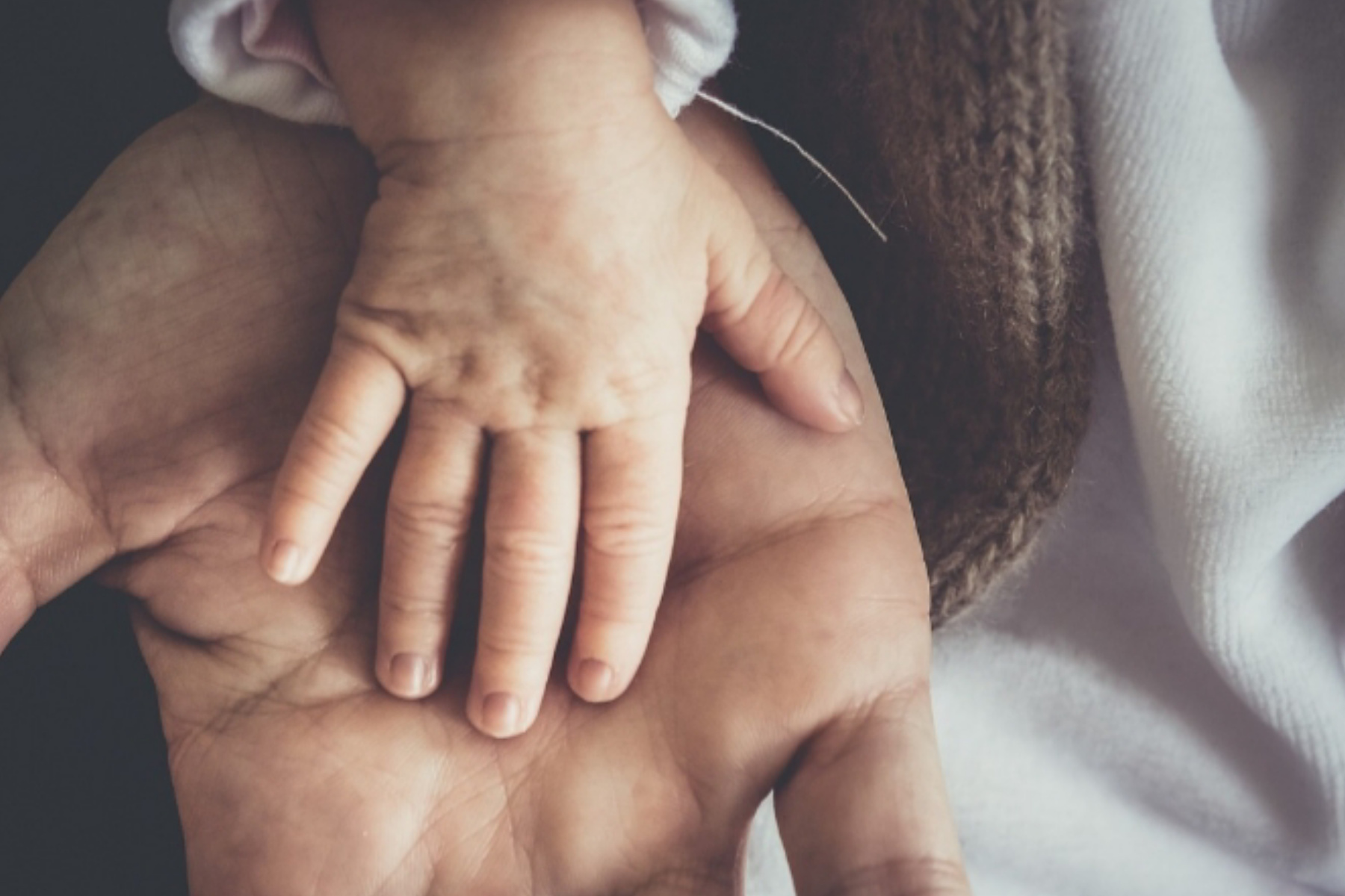 Berkah Melimpah Memiliki Anak yang Berbakti 1 Berkah Melimpah Memiliki Anak yang Berbakti