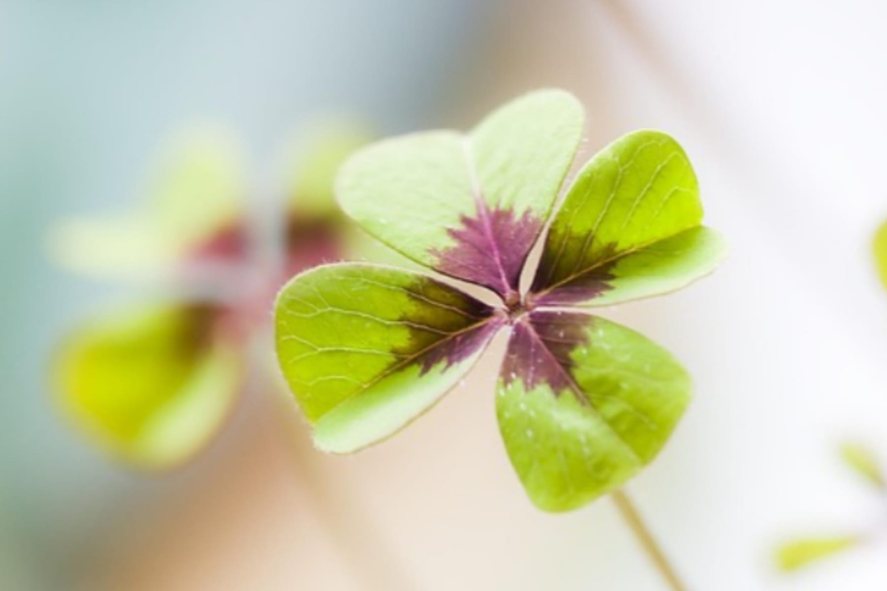 Bukan Kebetulan Semata: Seni Mengelola Keberuntungan