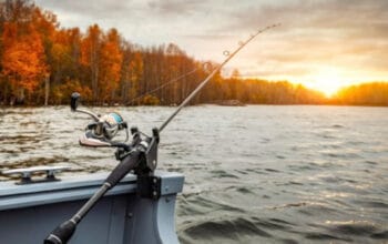 Cara Membuat Umpan Pancing Ikan Sederhana Tapi Gacor!