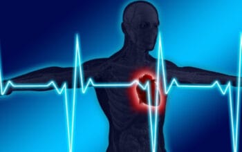 Fakta Kesehatan Jantung