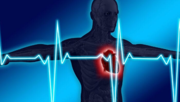 Fakta Kesehatan Jantung