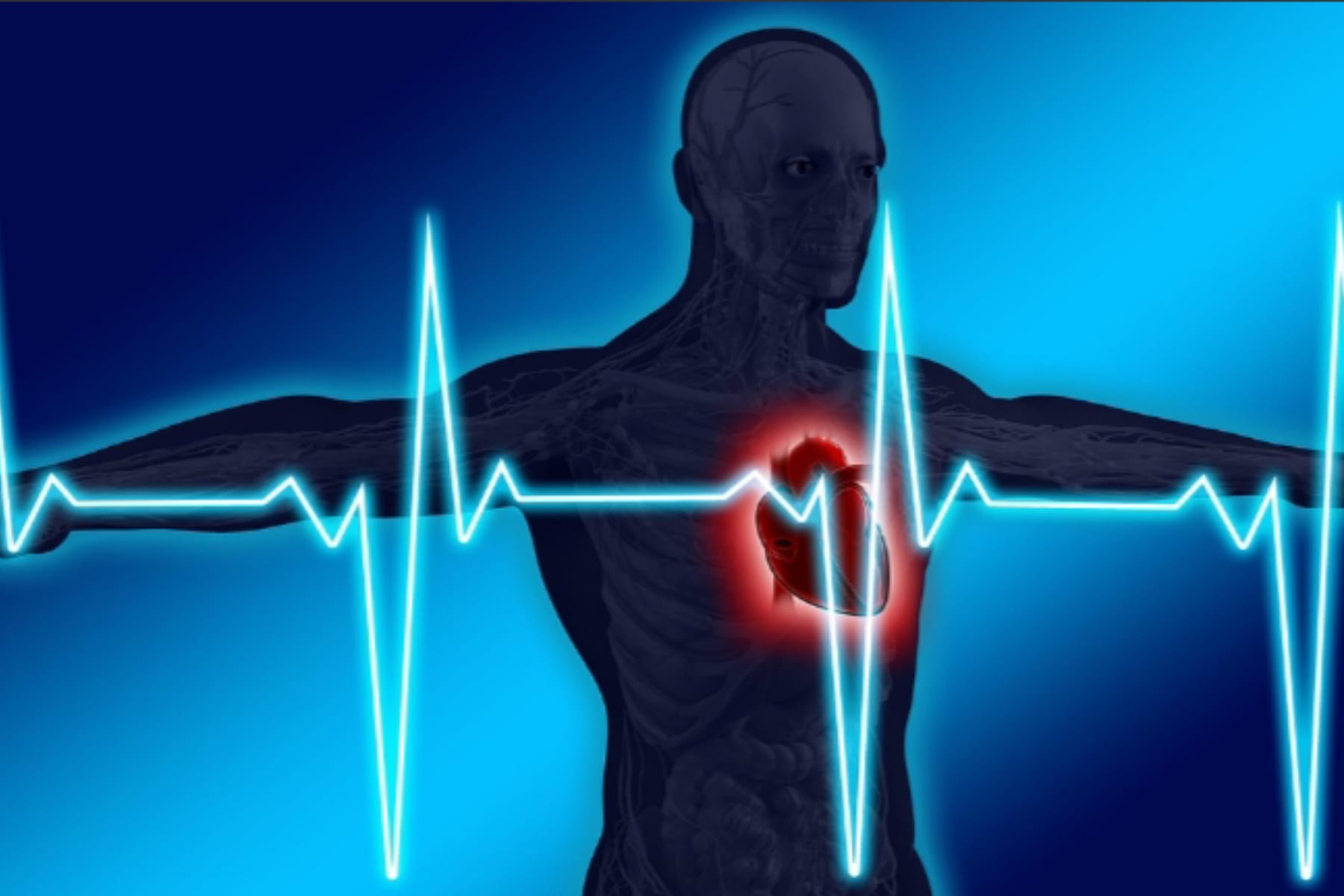 Fakta Kesehatan Jantung