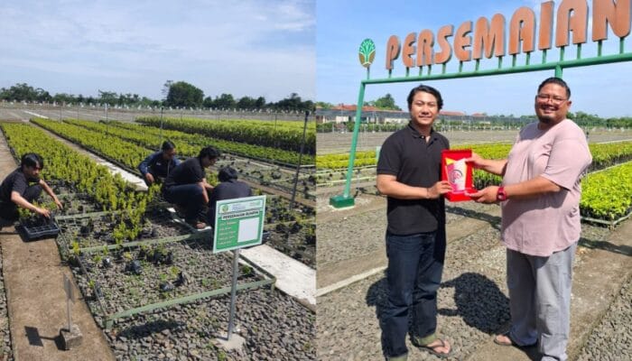 Harlah ke-7, VINUS Tanam dan Bagikan 7.000 Bibit Pohon: Mengusung Tema ‘Merawat Bumi dan Kemanusiaan’