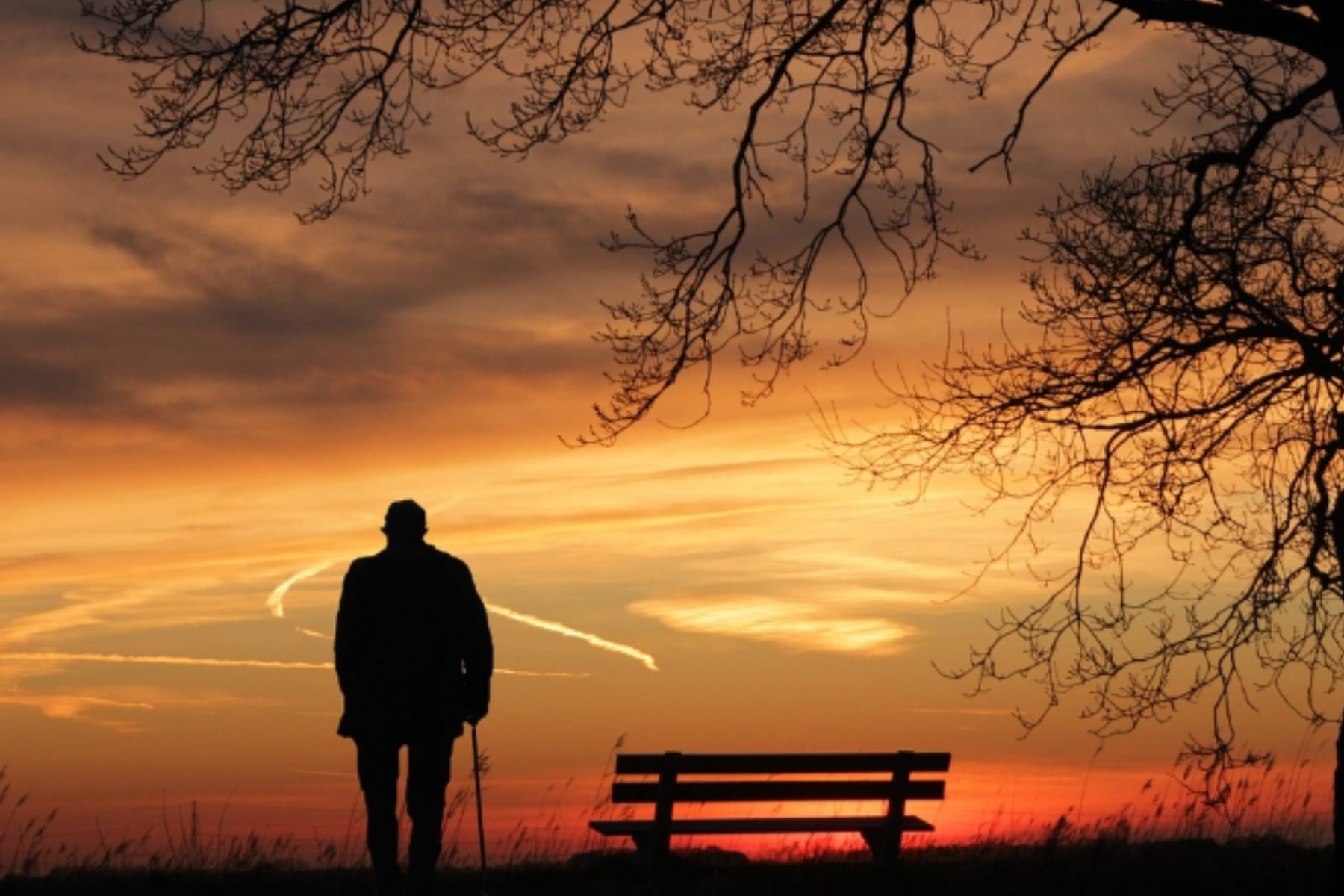 Jalan Menuju Kedamaian: Menemukan Ketenangan dengan Diri Sendiri