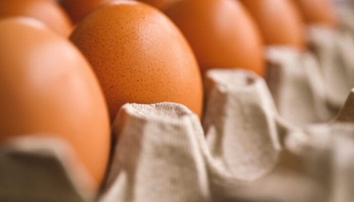 Kolesterol Bukan Musuh Telur: Membongkar Mitos Kesehatan Jantung