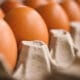 Kolesterol Bukan Musuh Telur: Membongkar Mitos Kesehatan Jantung
