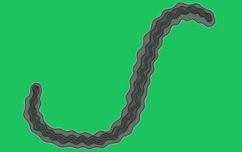 Leptospirosis Mengintai Saat Banjir: Kenali Bakteri dan Gejalanya