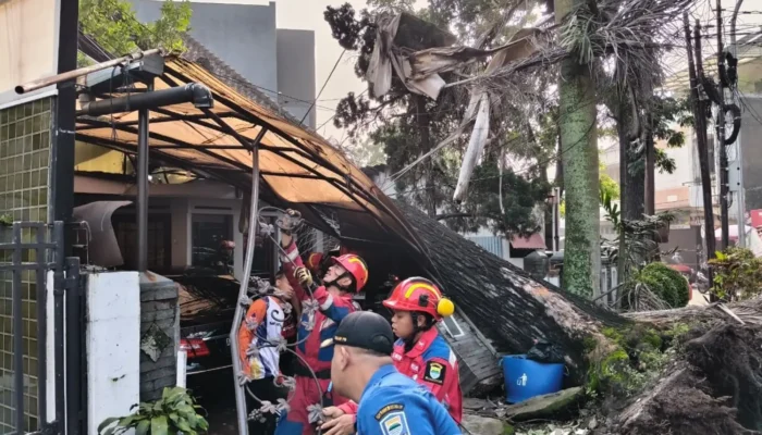 Mahoni 100 Tahun Tumbang! Kantor IPHI Jabar Rusak Parah