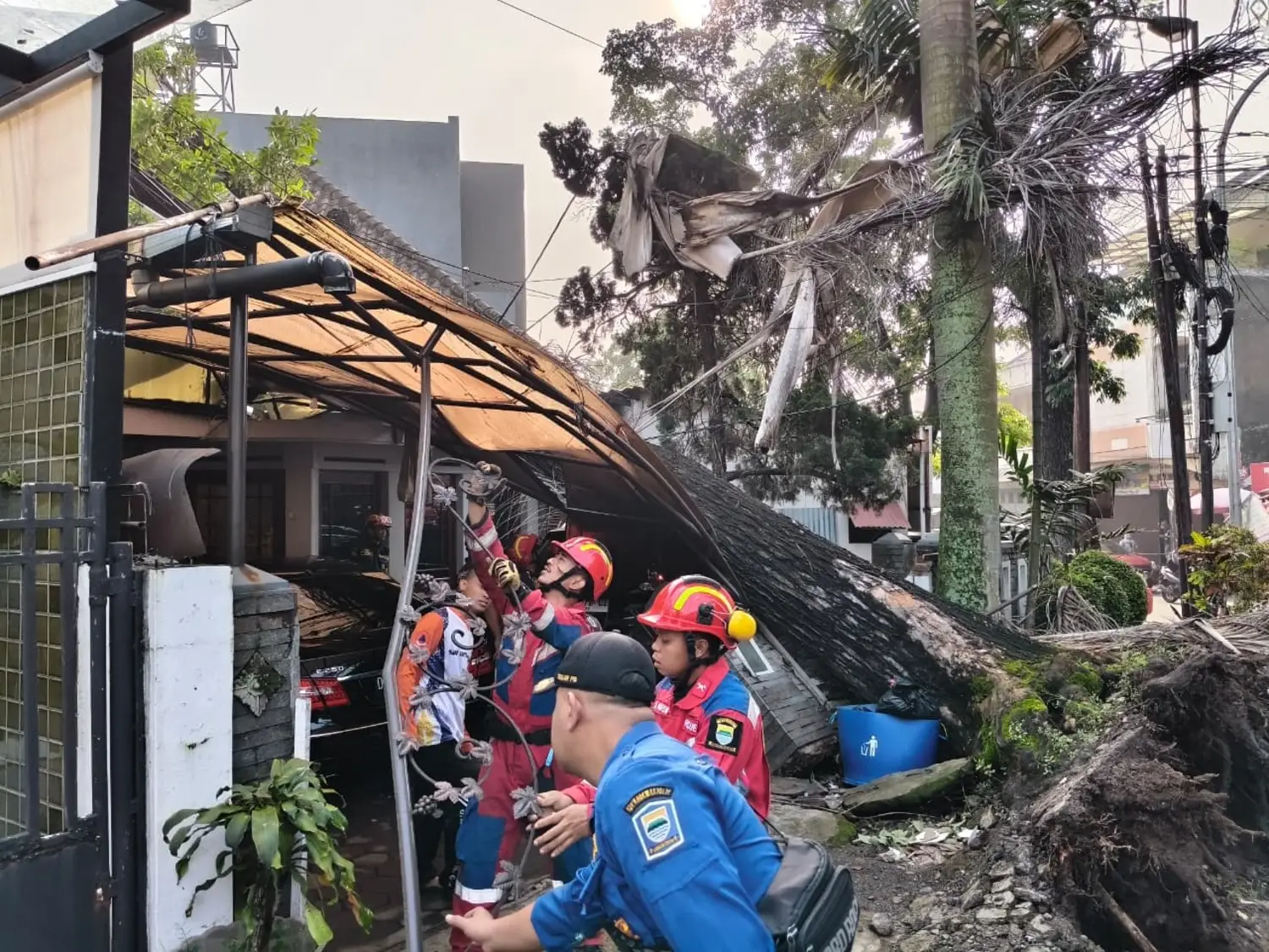 Mahoni 100 Tahun Tumbang! Kantor IPHI Jabar Rusak Parah 1 Mahoni 100 Tahun Tumbang! Kantor IPHI Jabar Rusak Parah