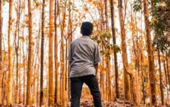 Menemukan Makna Hidup: Strategi untuk Kehidupan yang Bernilai