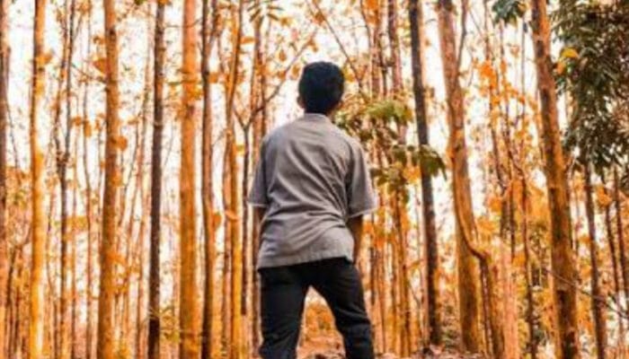 Menemukan Makna Hidup: Strategi untuk Kehidupan yang Bernilai