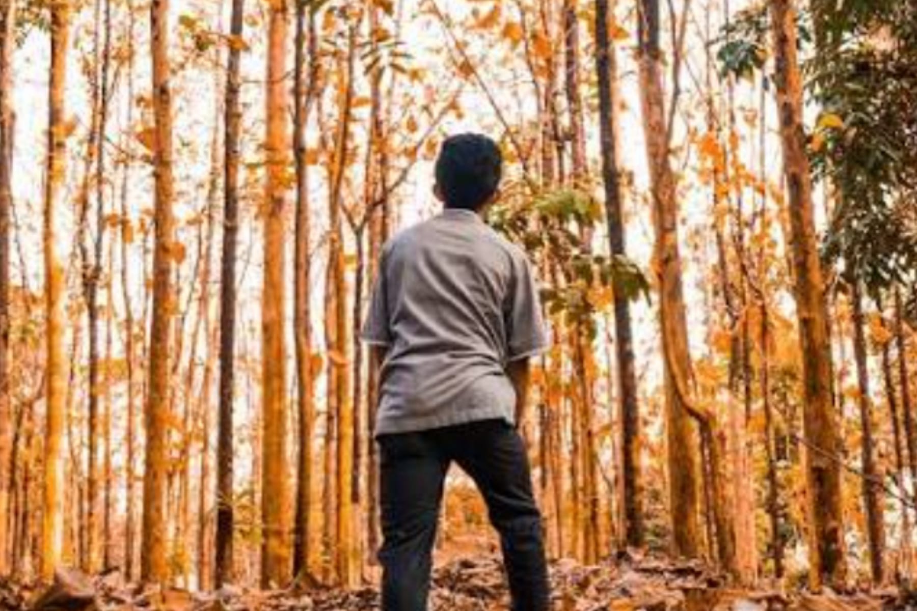 Menemukan Makna Hidup: Strategi untuk Kehidupan yang Bernilai 1 Menemukan Makna Hidup: Strategi untuk Kehidupan yang Bernilai