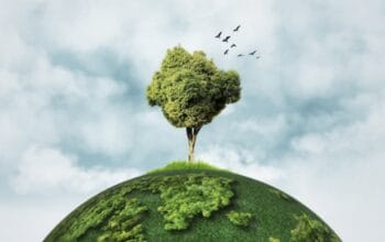 Pengamat Soroti Krisis Ekologis di Jawa Barat: Hutan Menyusut 43%, Pemprov Dianggap Tak Serius Hadapi Tambang Ilegal 9 Pengamat Soroti Krisis Ekologis di Jawa Barat: Hutan Menyusut 43%, Pemprov Dianggap Tak Serius Hadapi Tambang Ilegal