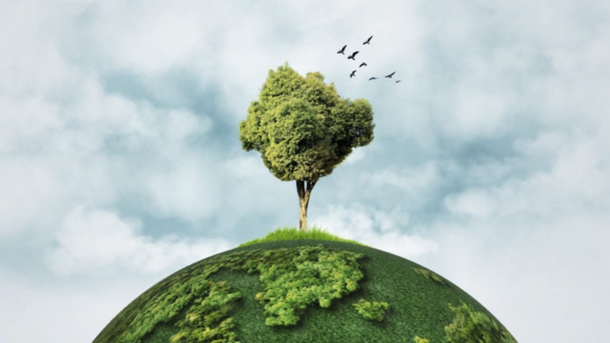 Pengamat Soroti Krisis Ekologis di Jawa Barat: Hutan Menyusut 43%, Pemprov Dianggap Tak Serius Hadapi Tambang Ilegal 1 Pengamat Soroti Krisis Ekologis di Jawa Barat: Hutan Menyusut 43%, Pemprov Dianggap Tak Serius Hadapi Tambang Ilegal