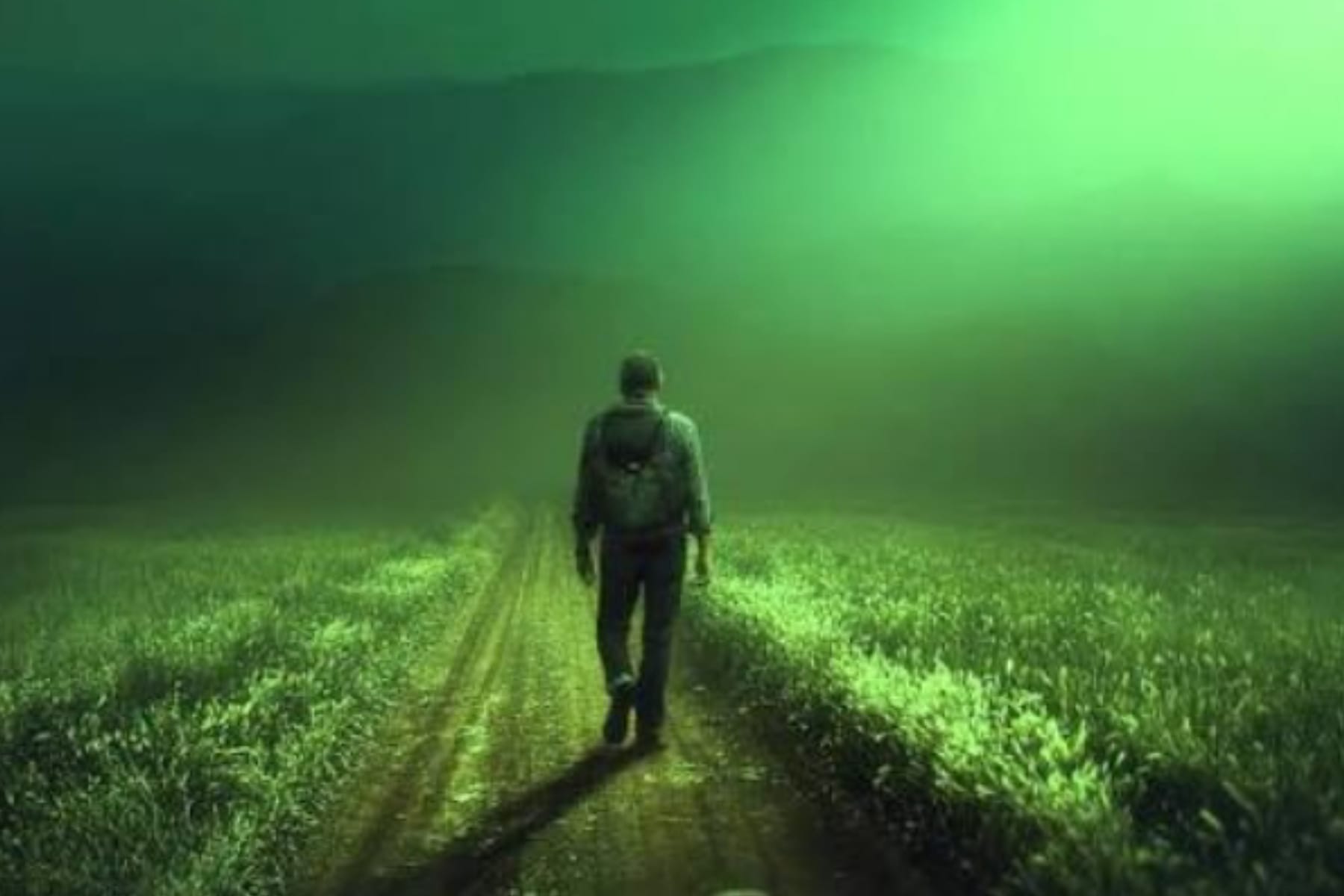 Pilihan Modern: Mengapa Hidup Sendiri Kini Semakin Populer 1 Pilihan Modern: Mengapa Hidup Sendiri Kini Semakin Populer