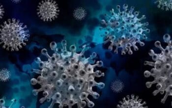 Ancaman Virus Nipah di India: Status Darurat dan Karantina Massal