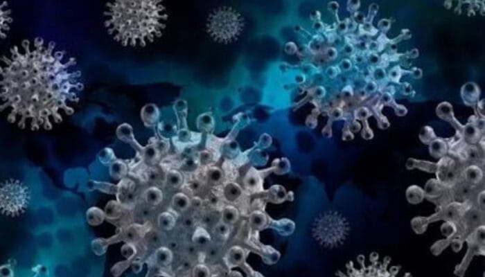 Ancaman Virus Nipah di India: Status Darurat dan Karantina Massal