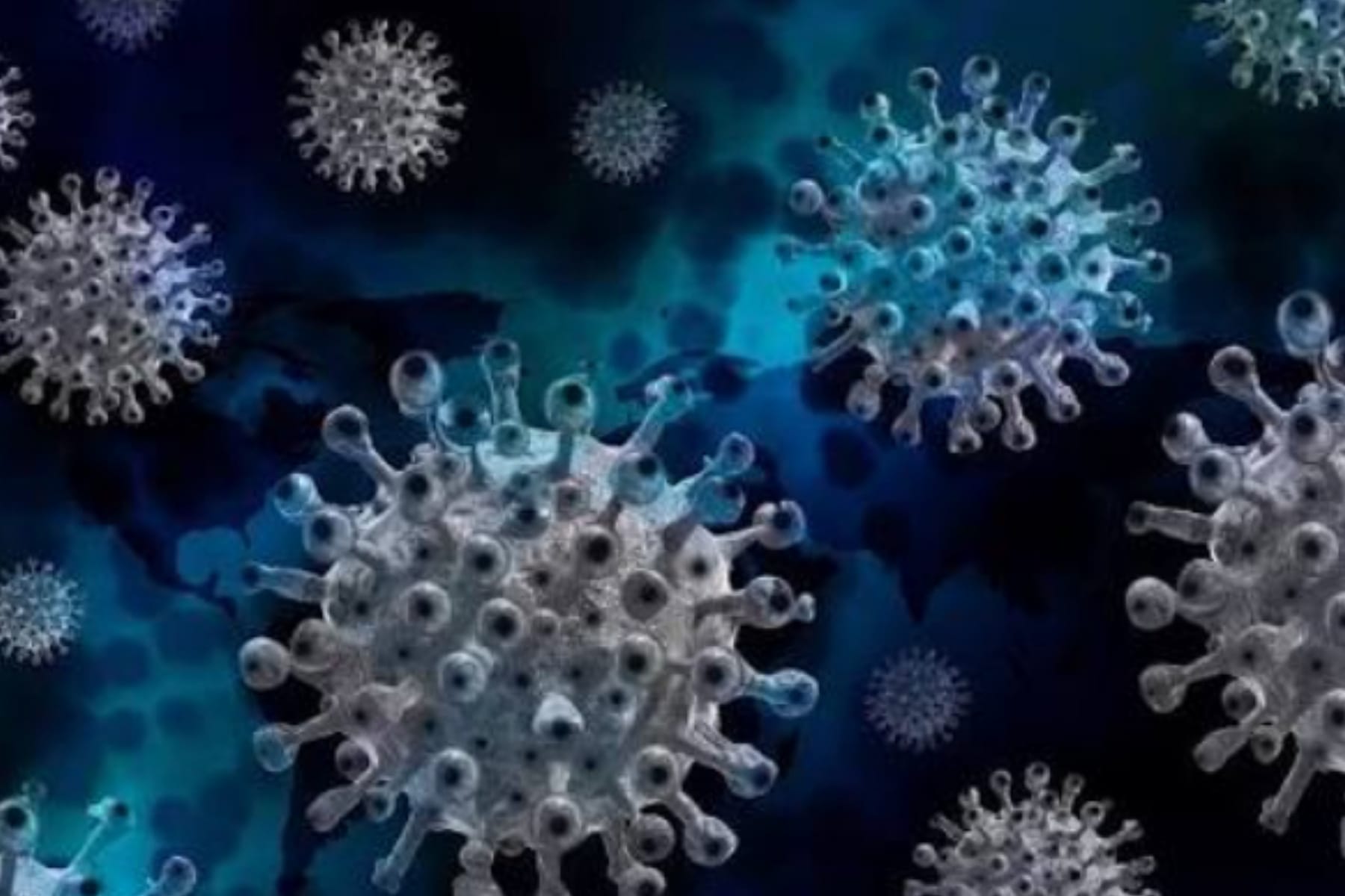 Ancaman Virus Nipah di India: Status Darurat dan Karantina Massal