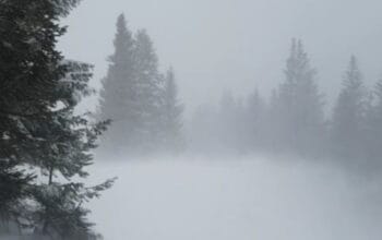 Badai Salju Ekstrem Lumpuhkan Transportasi di Eropa