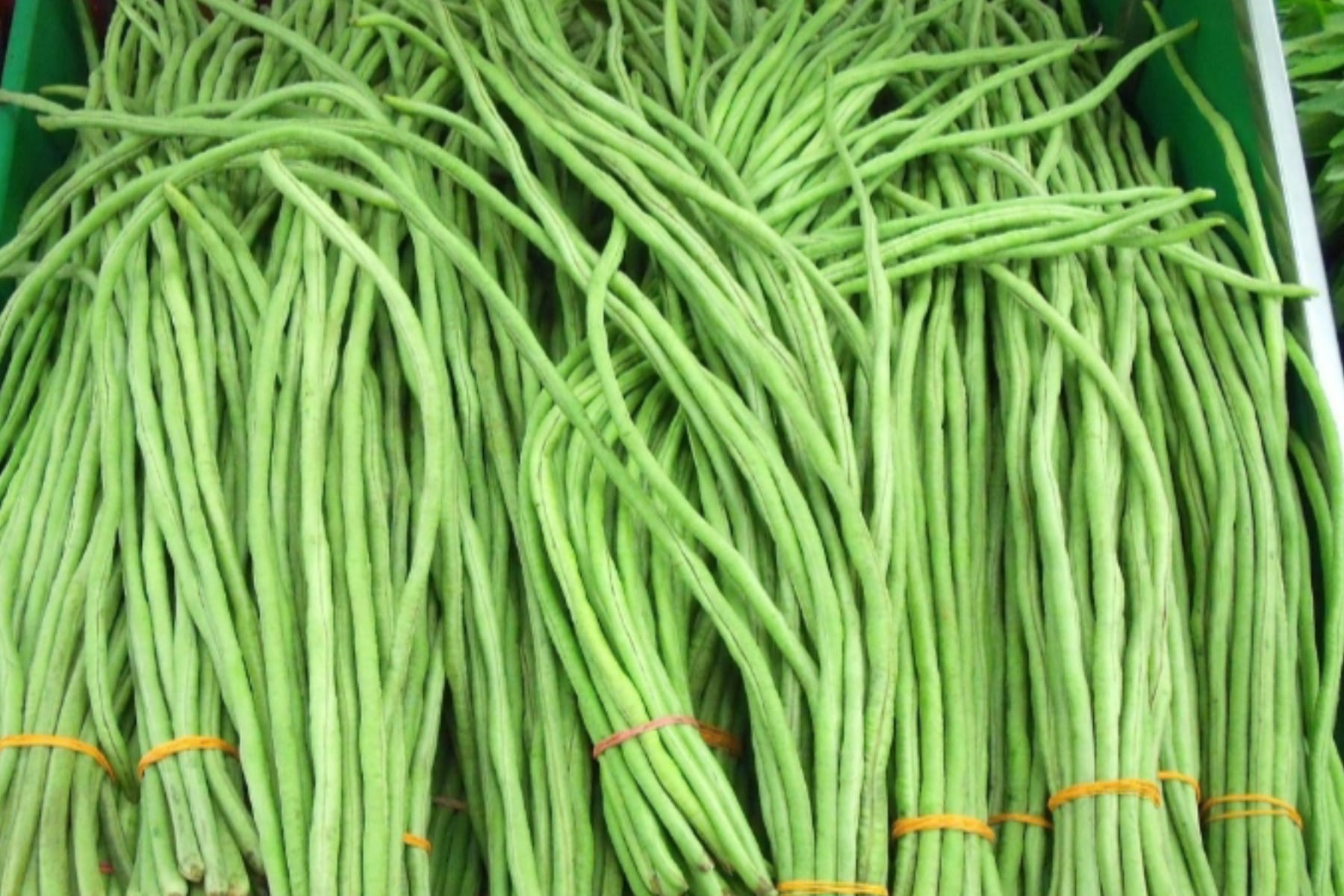 Benarkah Kacang Panjang Picu Asam Urat?